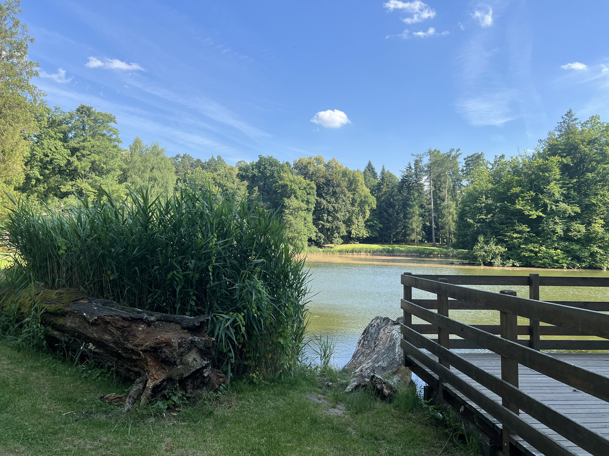 Panoramic Image of Acworth, GA